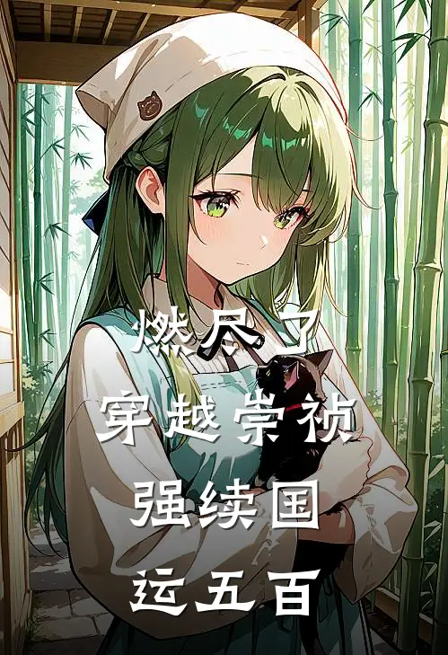 燃尽了：穿越崇祯，强续国运五百叶木青王承恩全文阅读免费全集_最新全本小说燃尽了：穿越崇祯，强续国运五百(叶木青王承恩)