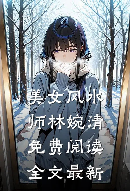 美女风水师林婉清免费阅读全文最新